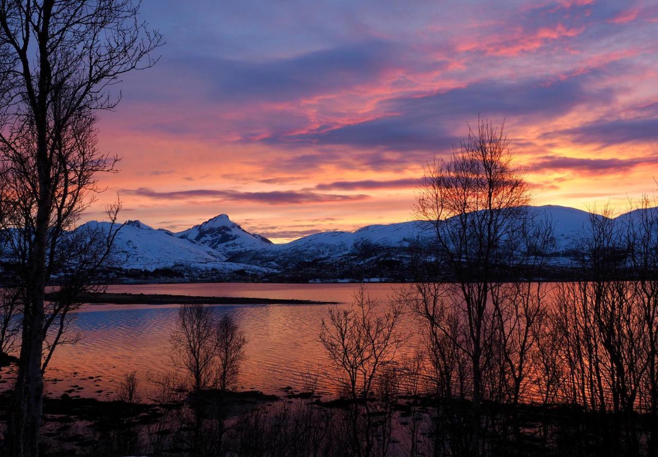 Hakoya Lodge Tromsø Exteriör bild