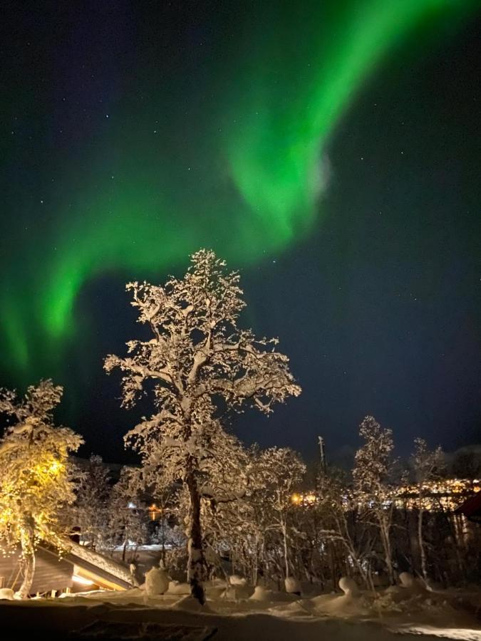 Hakoya Lodge Tromsø Exteriör bild