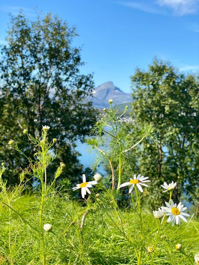 Hakoya Lodge Tromsø Exteriör bild
