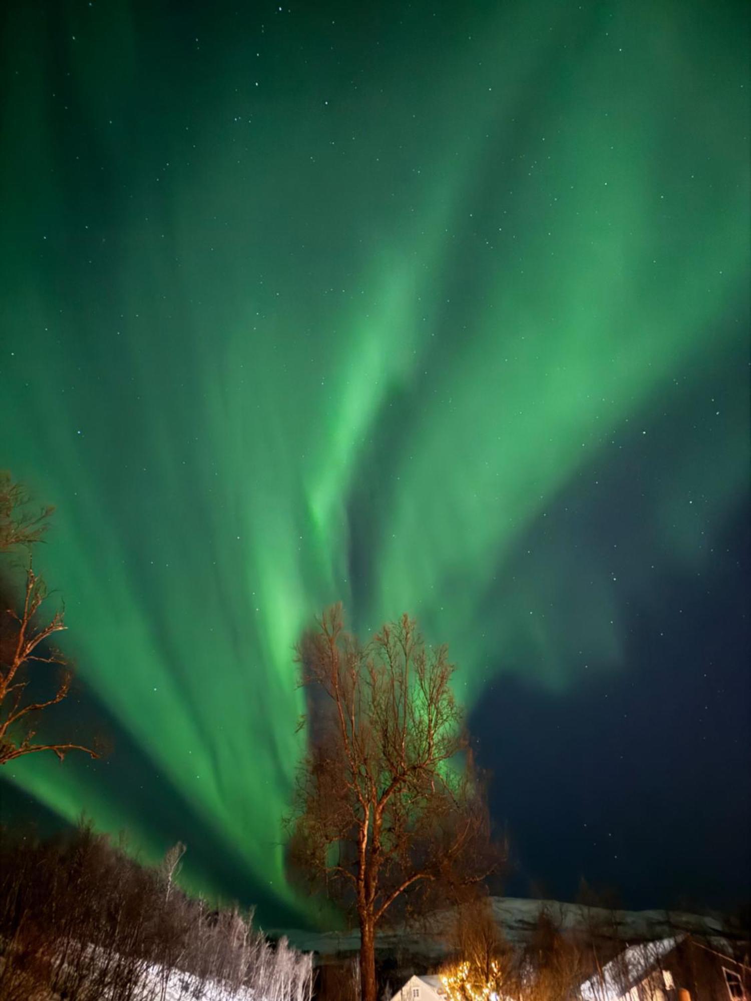 Hakoya Lodge Tromsø Exteriör bild